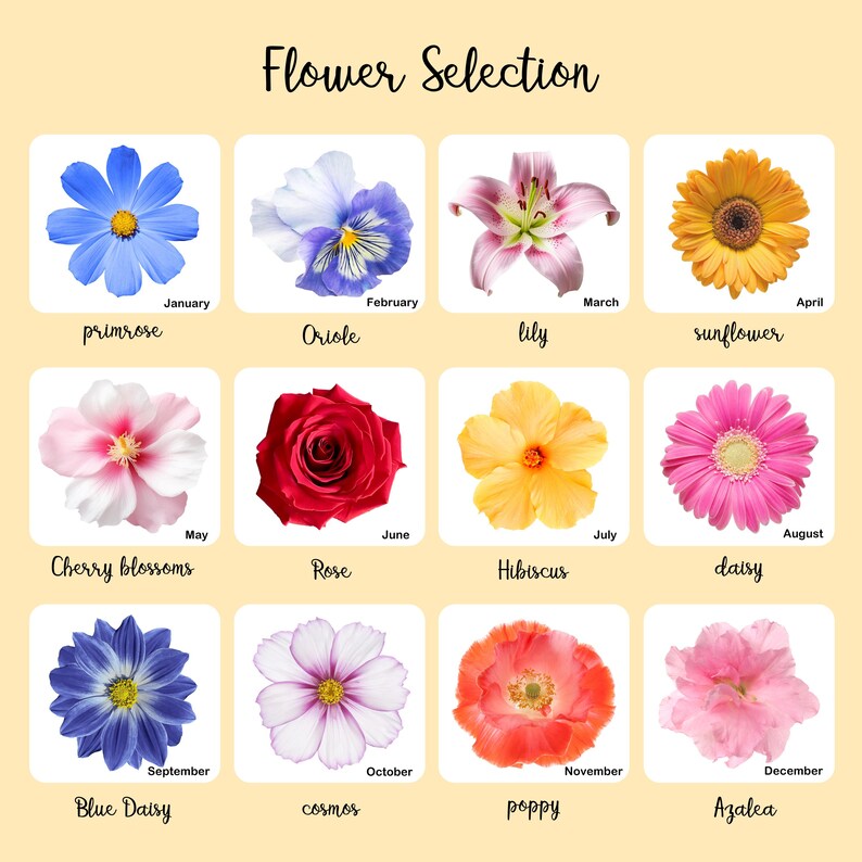 Custom birthday flower pillow, december birthday flower, custom face pillow, fun gifts, birthday gifts, custom pillow, unique gift