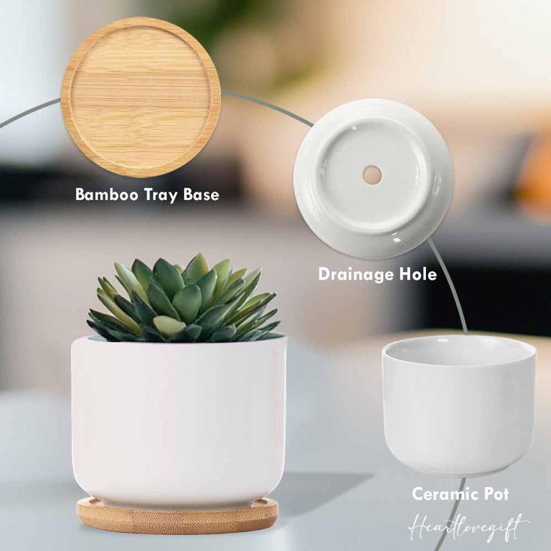 Memorial planter, Cat memorial gift, Remembrance gift, pet memorial gift, loss of pet, loss of cat, custom flower pot, Never Forgotten