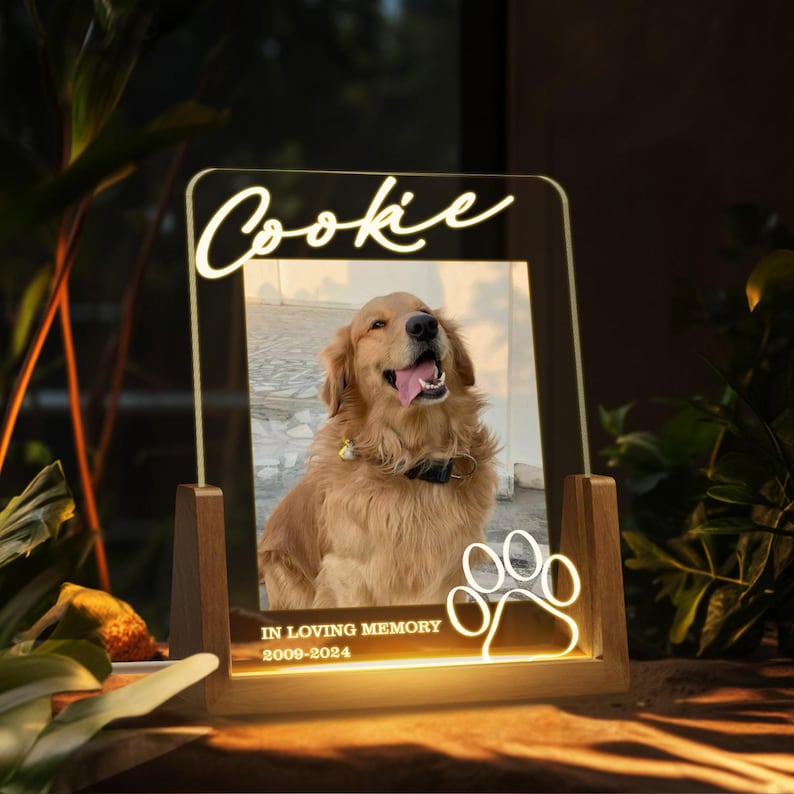 Personalized Pet Memorial LED Night Light, Custom Photo Pet Lover Night Light, Dog Keepsake Sign, Pet Loss Light Up Sign, Loss Of Dog Cat
