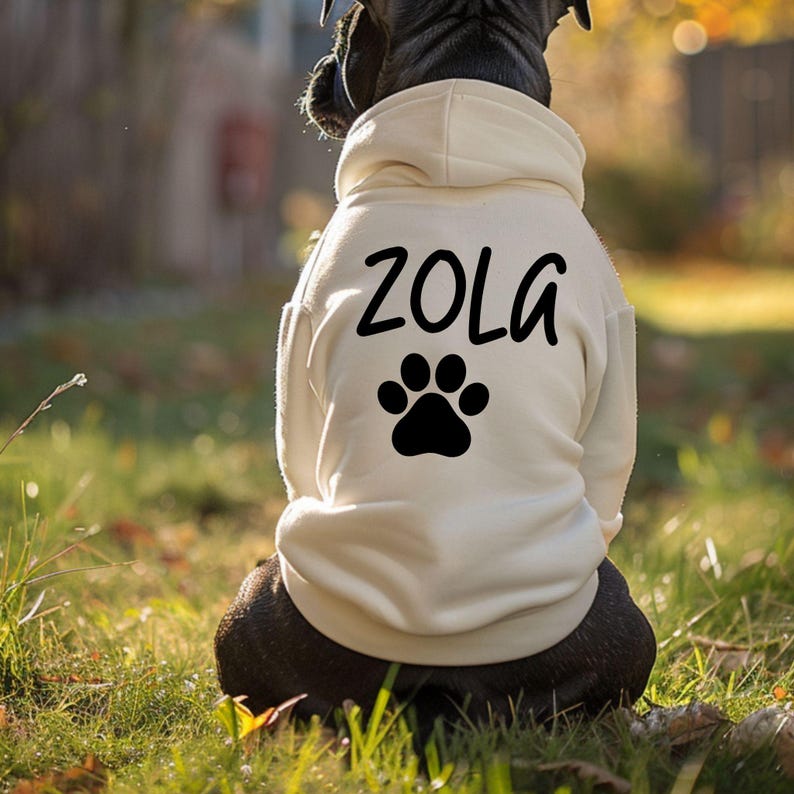 Custom Dog Hoodie, Personalized Dog Clothes, Name Pet Hoodie, Personalized Dog Sweatshirt, Dog Sweater, Dog Coat, Pet Sweater, Coat for Dog