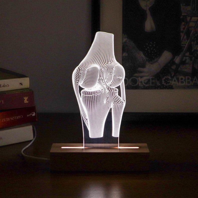 Knee Joint LED Lamp Orthopedic Surgeon Gift, Anatomy Decor