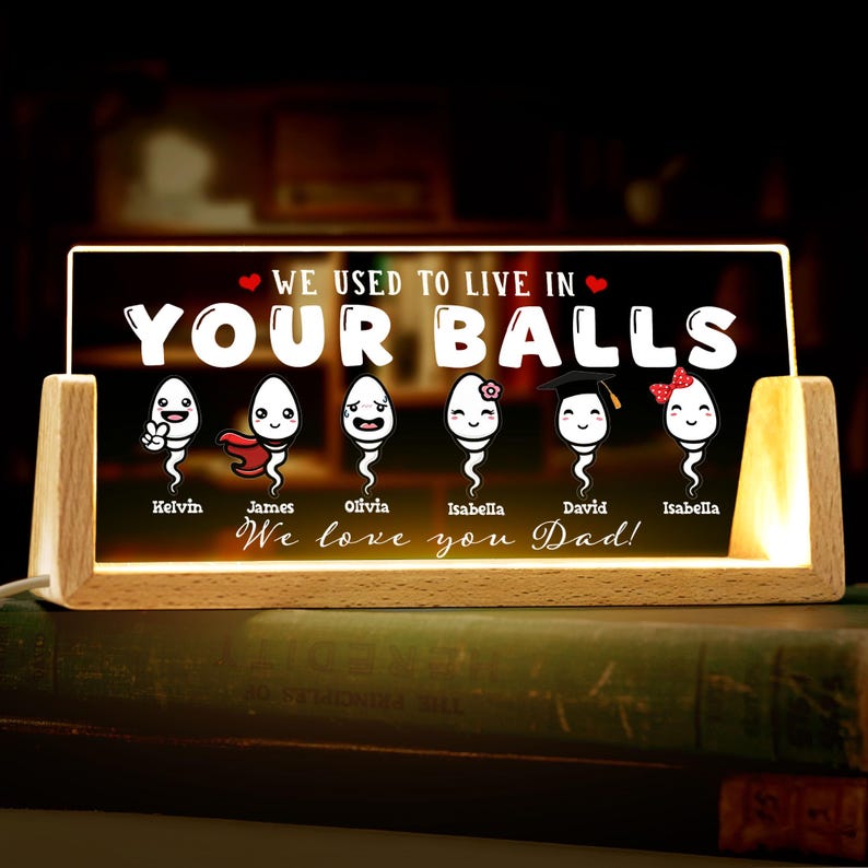 Custom We Used To Live In Your Balls Night Light,Fathers Day Gift For Dad Daddy,Gift For Him,Papa Gift, Funny Gifts For Dad,Fathers Day 2025
