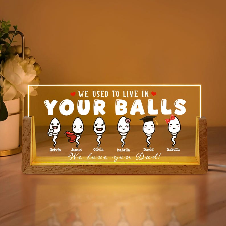 Custom We Used To Live In Your Balls Night Light,Fathers Day Gift For Dad Daddy,Gift For Him,Papa Gift, Funny Gifts For Dad,Fathers Day 2025