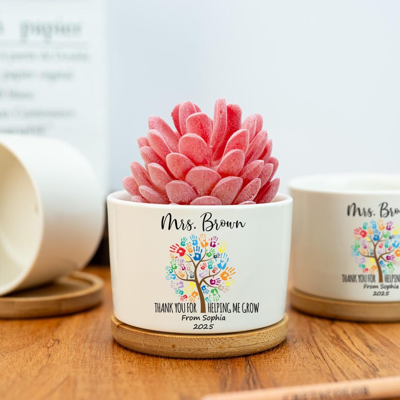 Personalized Thank You Gift,Custom Succulent Pot,Teacher Appreciation,Teacher Graduation Gift,Last Day of School,Gift for Mentor