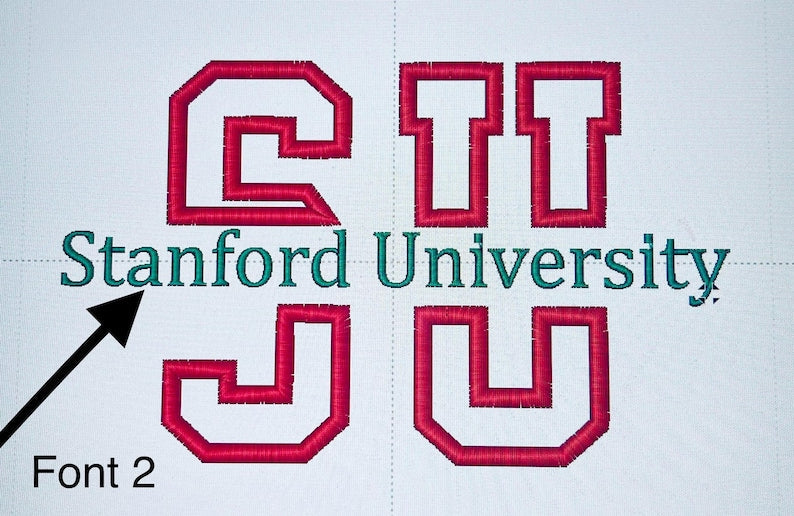 Embroidered Custom College Sweatshirt,School Spirit Personalized Shirt, College Apparel, Graduation Gift, Back To School, University Hoodie il_794xN.6874480088_d4mm.jpg