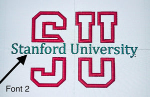 Embroidered Custom College Sweatshirt,School Spirit Personalized Shirt, College Apparel, Graduation Gift, Back To School, University Hoodie il_794xN.6874480088_d4mm.jpg