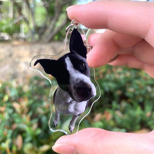 Personalized Pet Photo Acrylic Keychain, Custom Pet Memorial Gift, Dog Memorial Gift,Dog Keychain, Cat Keychain, Pet Photo Keyring