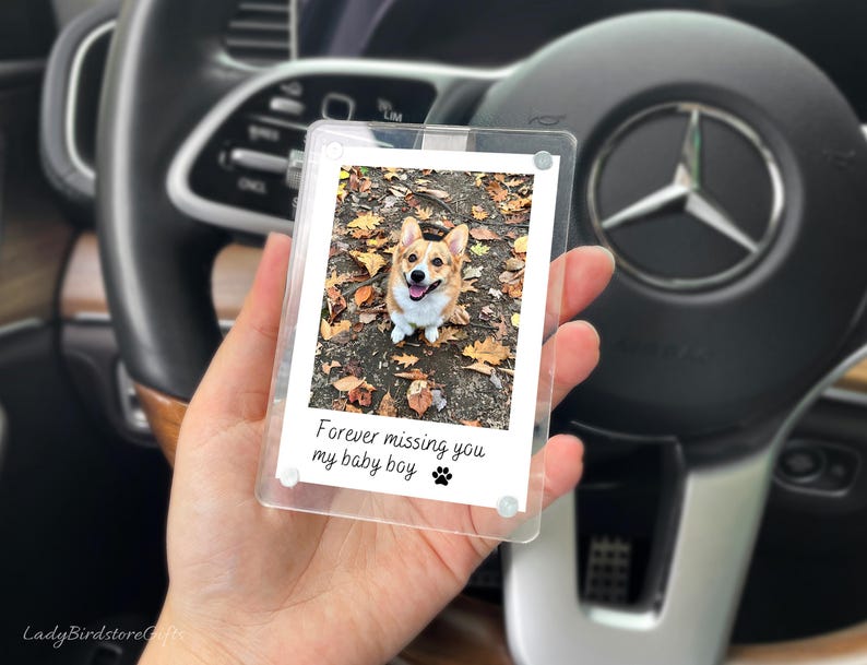 Custom Pet Photo Car Visor Clip, Pet Memorial Gift for Dog or Cat Lovers, Personalized Car Picture Frame Keepsake, Pet Loss Gift for Car