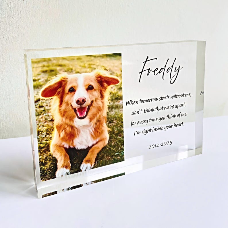 Dog Memorial Gift Photo Keepsake - Personalised Pet Loss Sympathy Plaque - Custom Pet Memorial Gift Frame - Cat Bereavement Gift for Friend
