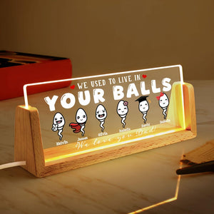 Custom We Used To Live In Your Balls Night Light,Fathers Day Gift For Dad Daddy,Gift For Him,Papa Gift, Funny Gifts For Dad,Fathers Day 2025