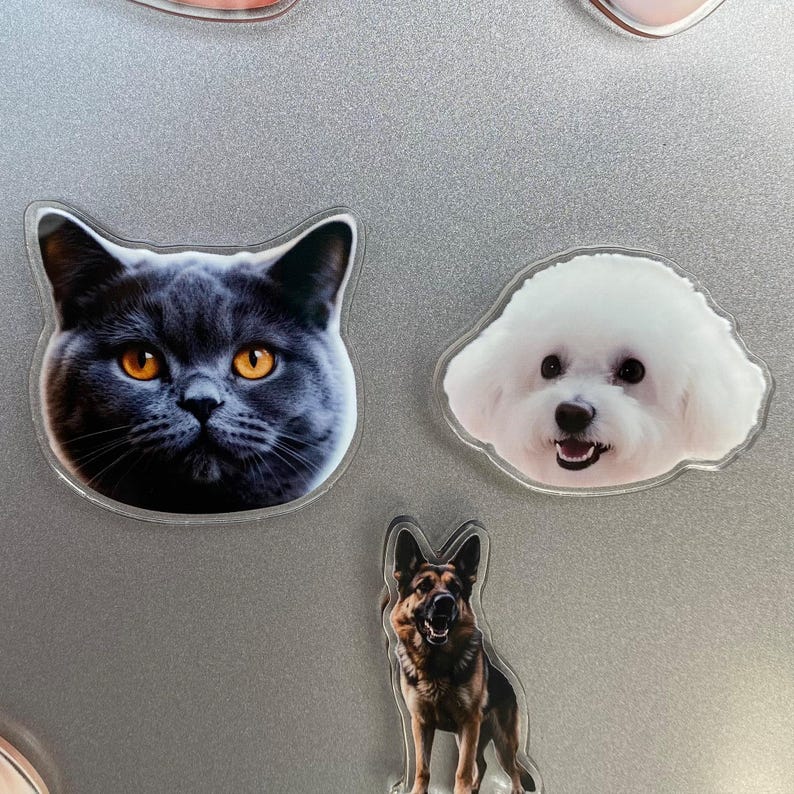 Custom Shaped Fridge Magnet, Photo Refrigerator Magnet, Cut Pet Magnet, Family Vacation Photo Magnet, Face Picture Magnet, Photo Print Gift