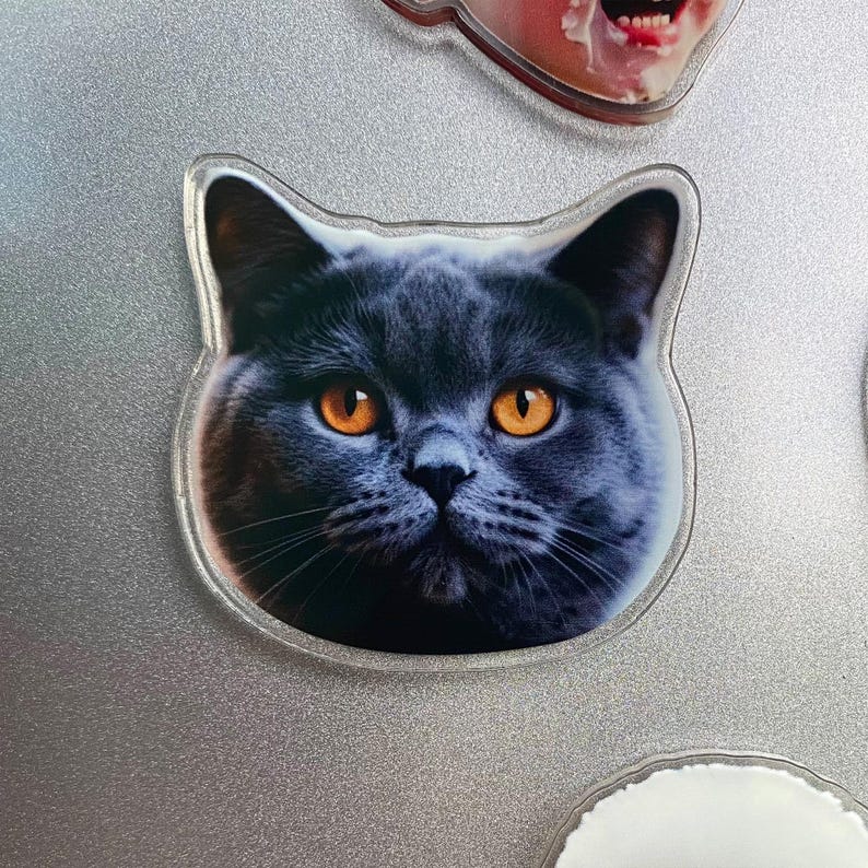 Custom Shaped Fridge Magnet, Photo Refrigerator Magnet, Cut Pet Magnet, Family Vacation Photo Magnet, Face Picture Magnet, Photo Print Gift