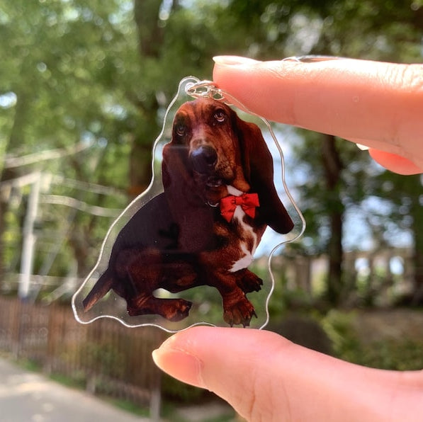 Personalized Pet Photo Acrylic Keychain, Custom Pet Memorial Gift, Dog Memorial Gift,Dog Keychain, Cat Keychain, Pet Photo Keyring