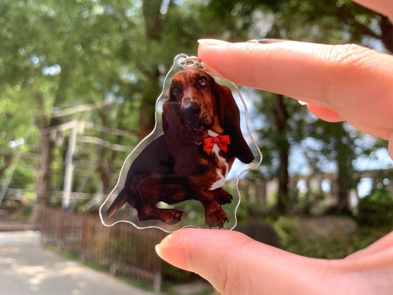 Personalized Pet Photo Acrylic Keychain, Custom Pet Memorial Gift, Dog Memorial Gift,Dog Keychain, Cat Keychain, Pet Photo Keyring