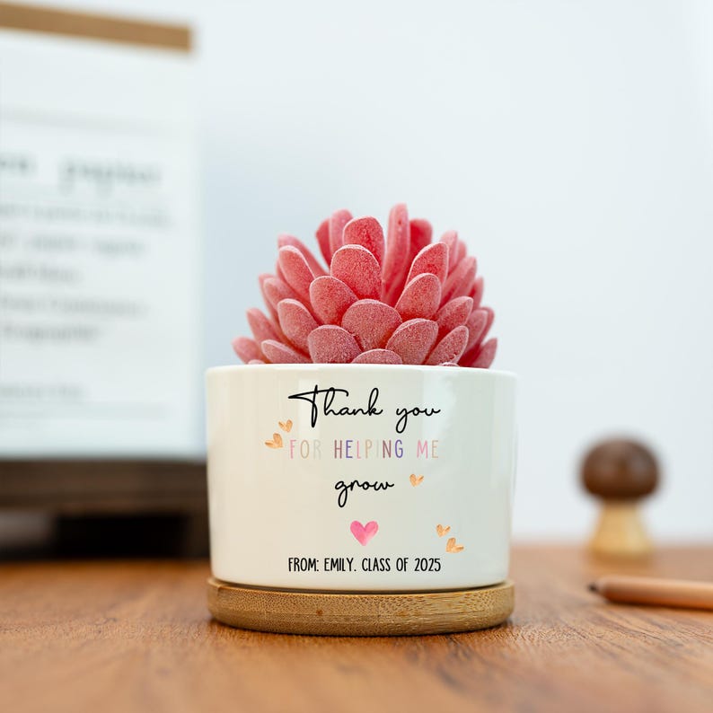 Custom Planter Teacher Gift,Personalized Planter,Teacher Flower Pot,Gift for Teacher,Gift for Caregiver,Mini Succulent,Back to School Gift