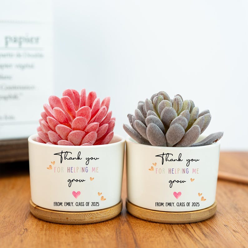 Custom Planter Teacher Gift,Personalized Planter,Teacher Flower Pot,Gift for Teacher,Gift for Caregiver,Mini Succulent,Back to School Gift