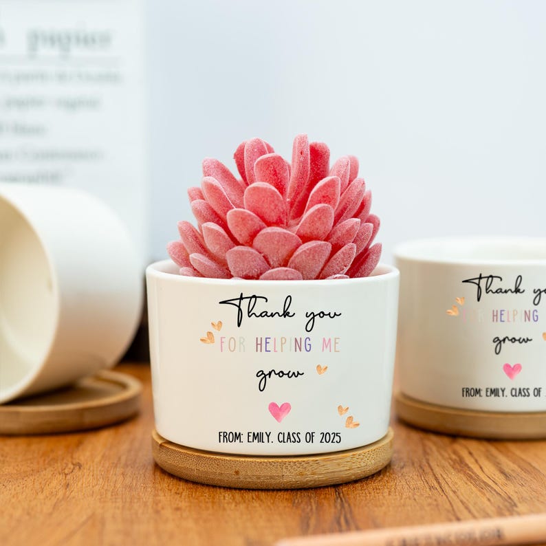 Custom Planter Teacher Gift,Personalized Planter,Teacher Flower Pot,Gift for Teacher,Gift for Caregiver,Mini Succulent,Back to School Gift