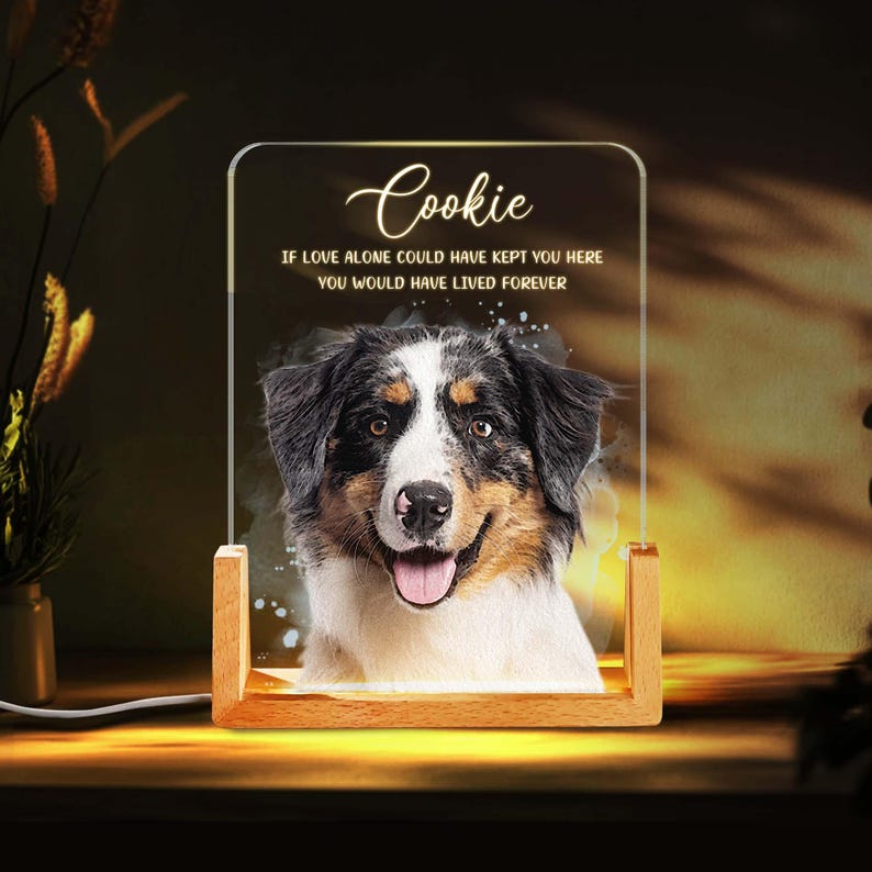Personalized Pet Memorial LED Night Light, Custom Photo Pet Lover Night Light, Dog Keepsake Sign, Pet Loss Light Up Sign, Loss Of Dog Cat