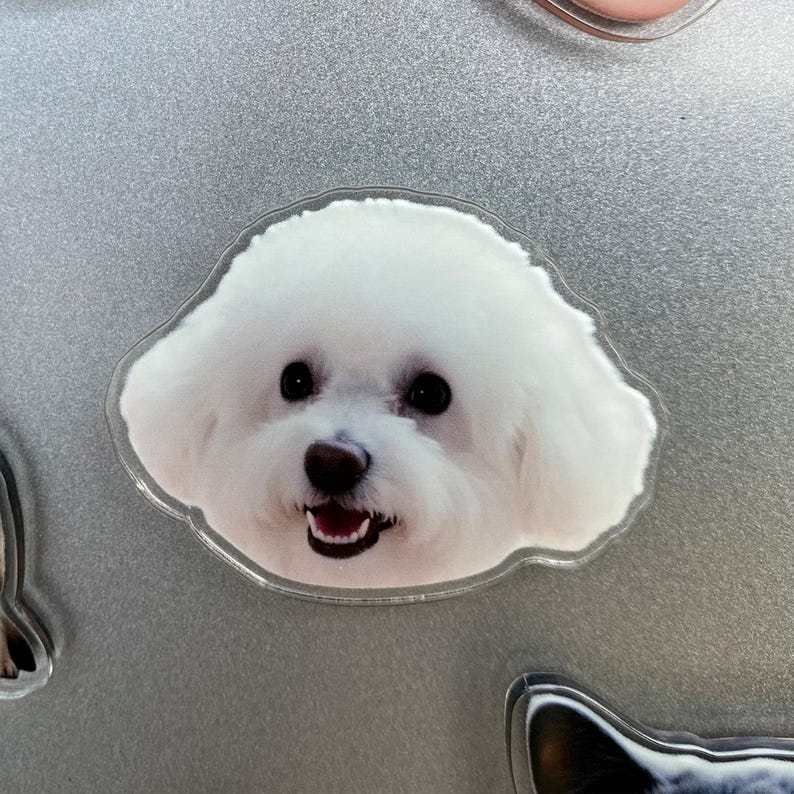 Custom Shaped Fridge Magnet, Photo Refrigerator Magnet, Cut Pet Magnet, Family Vacation Photo Magnet, Face Picture Magnet, Photo Print Gift