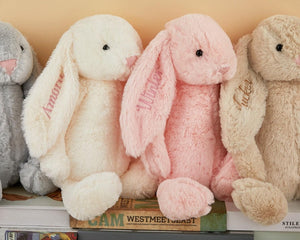 Personalized Embroidered Bunny Rabbit, Personalised Bunny Rabbit Toy,Custom Monogrammed Bunny Rabbit,Bunny Soft Plush Toy,Kids Birthday Gift il_794xN.6982358776_re4g.jpg