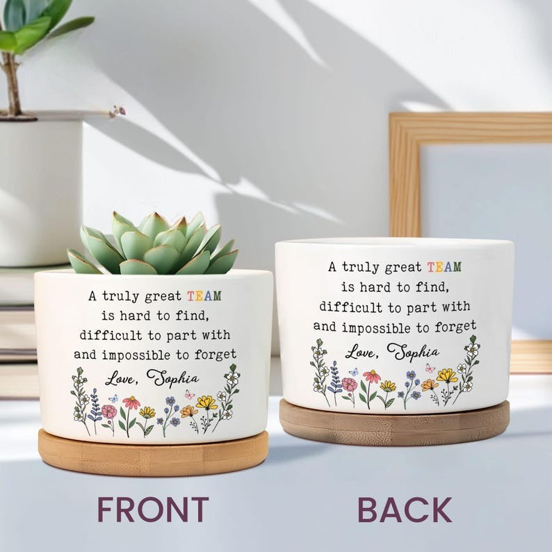A Truly Great Team Is Hard To Find, Coworker Appreciation Plant Pot, Team Gift, Team Thank You, Employee Appreciation, Coworker, Boss Gifts