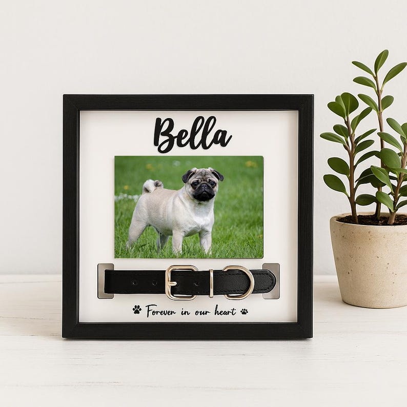 Personalized Pet Memory Frame, Dog Collar Shadow Box, Custom Pet Photo Gift, Pet Loss Sympathy Gift, Forever Loved Dog Memorial