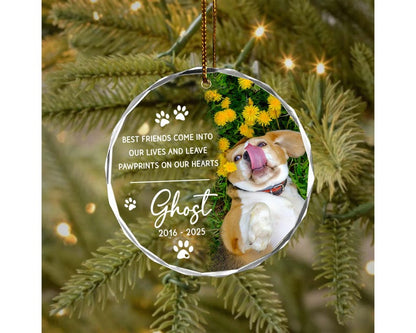 Custom Pet Ornament, Pet Memorial Gift, Custom Pet Portrait Ornament, Pet Sympathy Gift,Dog Cat Lover Gift, Pet Photo Ornament,Cat Loss Gift