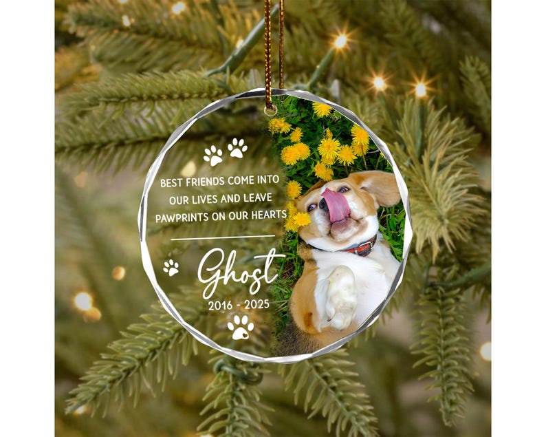 Custom Pet Ornament, Pet Memorial Gift, Custom Pet Portrait Ornament, Pet Sympathy Gift,Dog Cat Lover Gift, Pet Photo Ornament,Cat Loss Gift