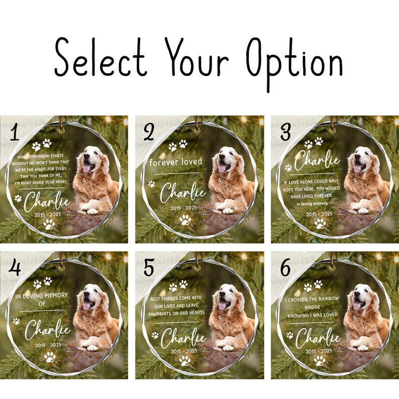 Custom Pet Ornament, Pet Memorial Gift, Custom Pet Portrait Ornament, Pet Sympathy Gift,Dog Cat Lover Gift, Pet Photo Ornament,Cat Loss Gift