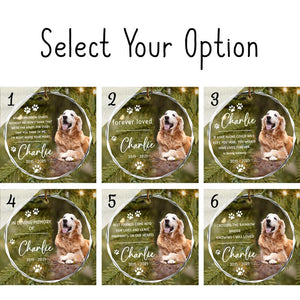 Custom Pet Ornament, Pet Memorial Gift, Custom Pet Portrait Ornament, Pet Sympathy Gift,Dog Cat Lover Gift, Pet Photo Ornament,Cat Loss Gift