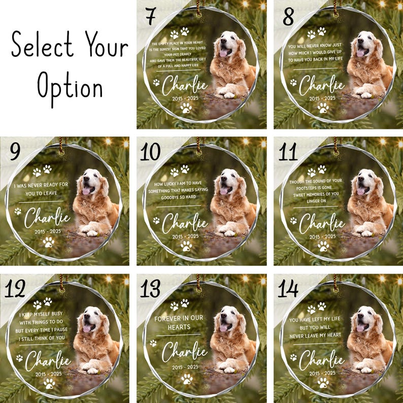 Custom Pet Ornament, Pet Memorial Gift, Custom Pet Portrait Ornament, Pet Sympathy Gift,Dog Cat Lover Gift, Pet Photo Ornament,Cat Loss Gift