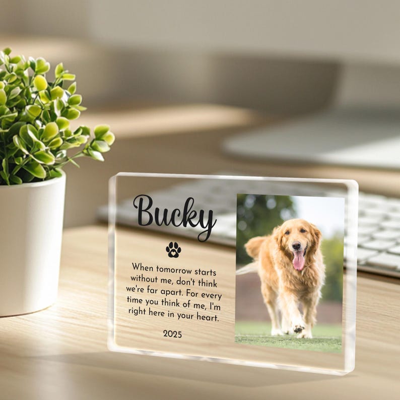 Personalized Pet Memorial Acrylic Block, Dog Loss Keepsake with Photo and Name, Pet Remembrance Gift, Custom Rainbow Bridge Tribute