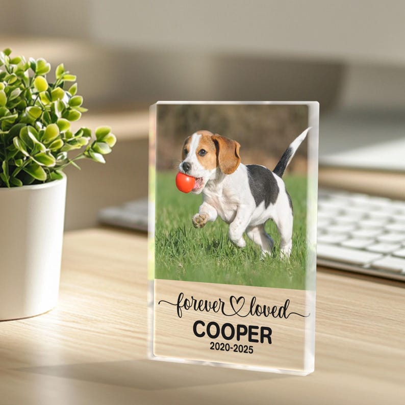 Pet Memorial Acrylic Block with Photo, Personalized Dog Loss Gift with Free Keychain, Pet Remembrance Keepsake, Forever Loved Tribute