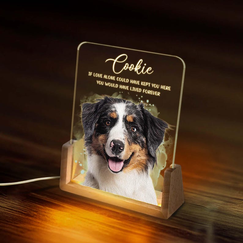 Personalized Pet Memorial LED Night Light, Custom Photo Pet Lover Night Light, Dog Keepsake Sign, Pet Loss Light Up Sign, Loss Of Dog Cat
