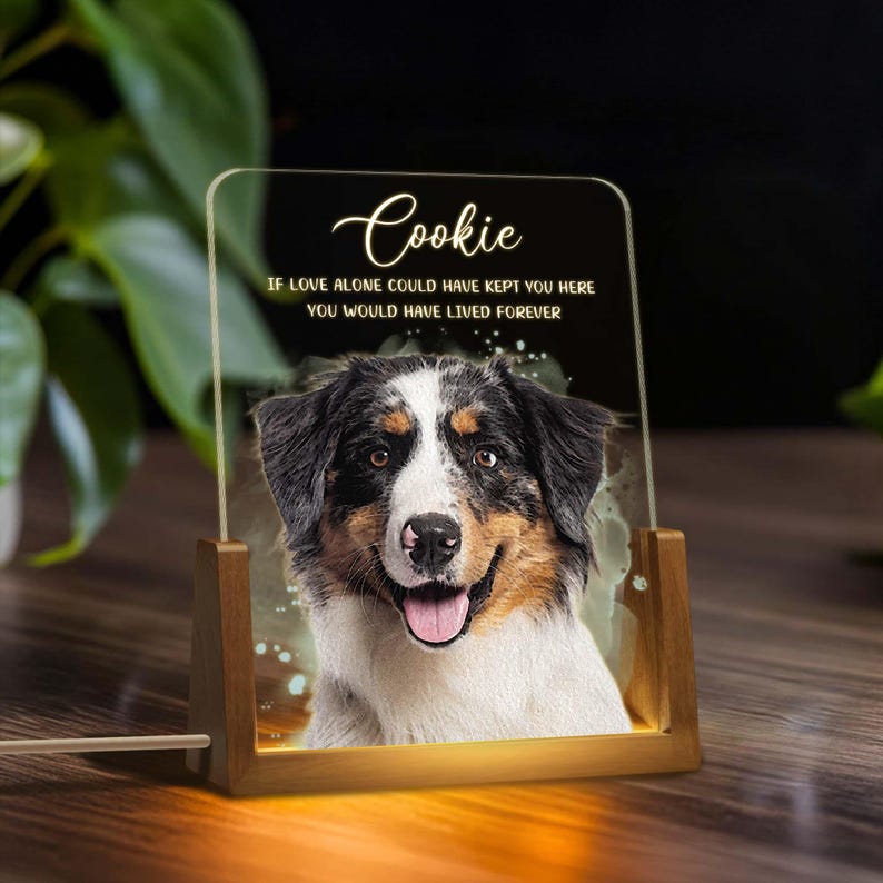 Personalized Pet Memorial LED Night Light, Custom Photo Pet Lover Night Light, Dog Keepsake Sign, Pet Loss Light Up Sign, Loss Of Dog Cat