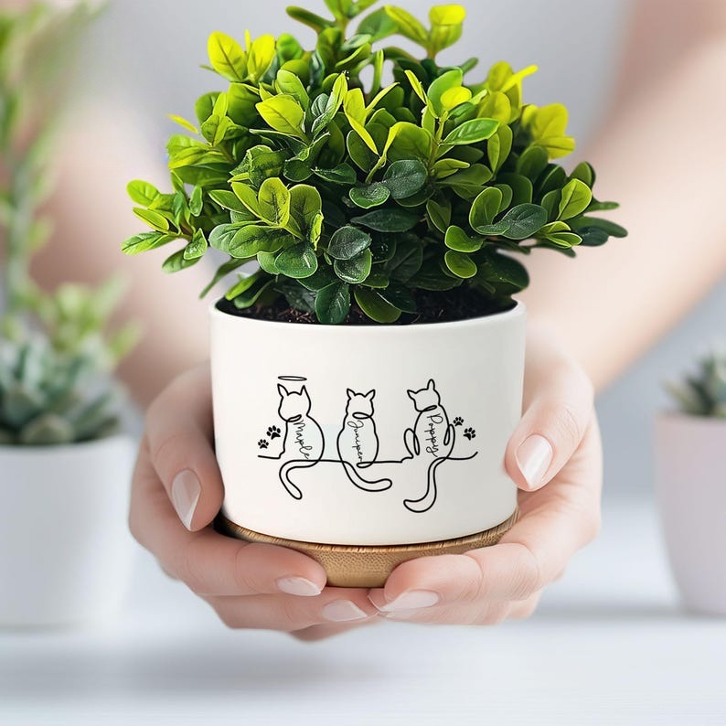 Custom Cat's Name Plant Pot, Personalised Gifts, Unique Cat Lover Present,Gift For Cat Owner,Family Gift, Pet Lover, Line Art Cute Cat/Dog