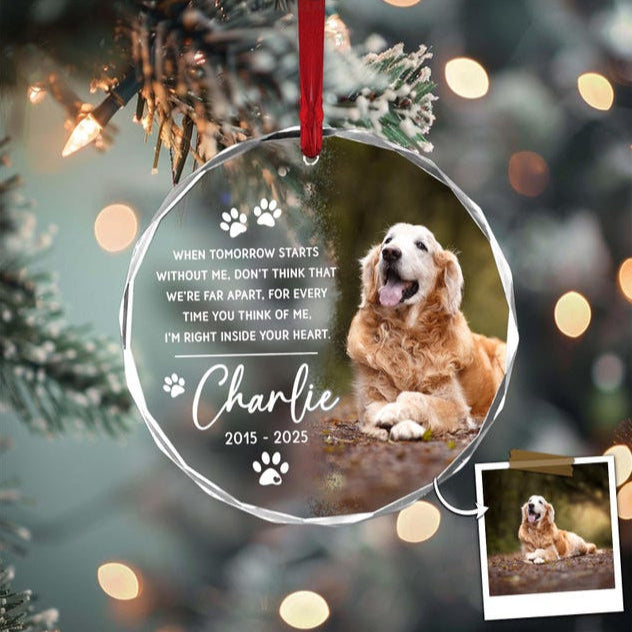 Custom Pet Ornament, Pet Memorial Gift, Custom Pet Portrait Ornament, Pet Sympathy Gift,Dog Cat Lover Gift, Pet Photo Ornament,Cat Loss Gift