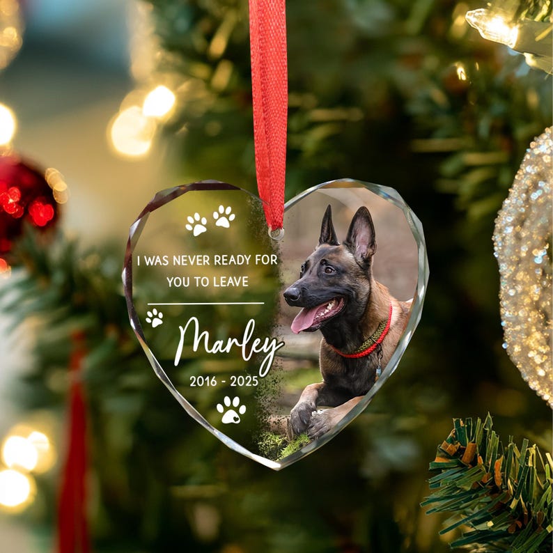 Custom Pet Ornament, Pet Memorial Gift, Custom Pet Portrait Ornament, Pet Sympathy Gift,Dog Cat Lover Gift, Pet Photo Ornament,Cat Loss Gift