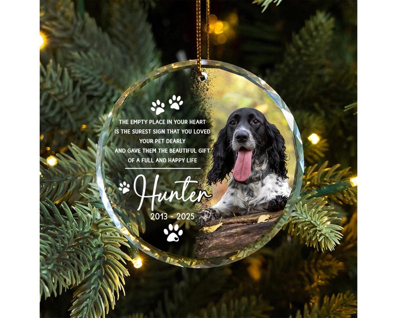 Custom Pet Ornament, Pet Memorial Gift, Custom Pet Portrait Ornament, Pet Sympathy Gift,Dog Cat Lover Gift, Pet Photo Ornament,Cat Loss Gift