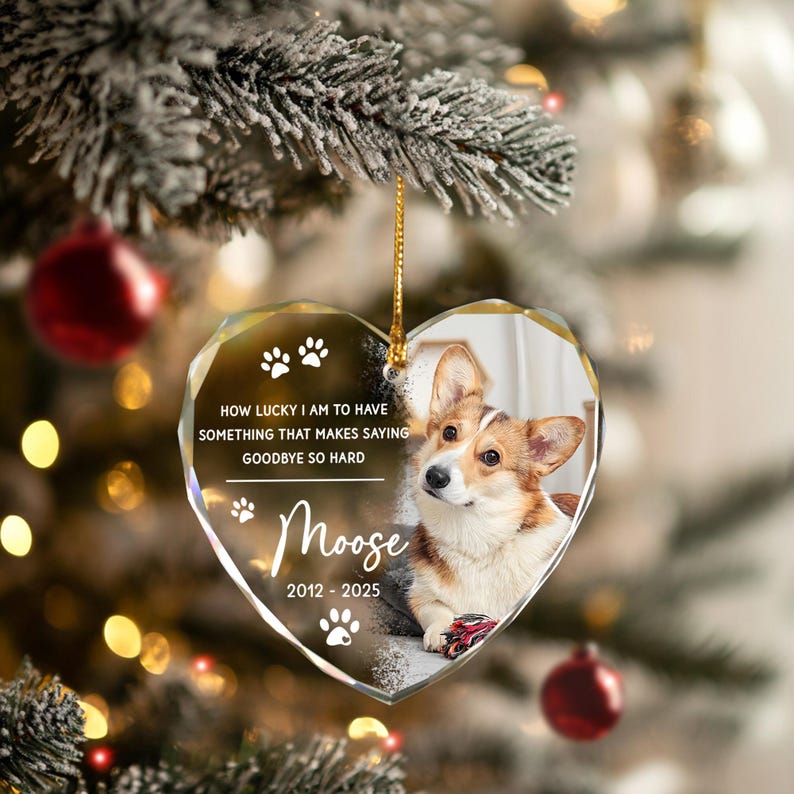 Custom Pet Ornament, Pet Memorial Gift, Custom Pet Portrait Ornament, Pet Sympathy Gift,Dog Cat Lover Gift, Pet Photo Ornament,Cat Loss Gift
