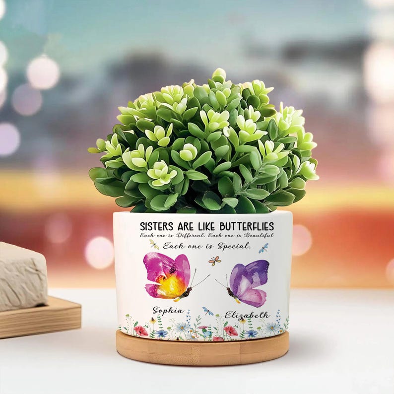 Personalized Sisters Butterfly Plant Pot, Custom Names Flower Pot, Sister Gift, Sibling Gift, Each One is Special, Cute Floral Planter