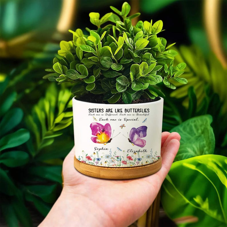Personalized Sisters Butterfly Plant Pot, Custom Names Flower Pot, Sister Gift, Sibling Gift, Each One is Special, Cute Floral Planter