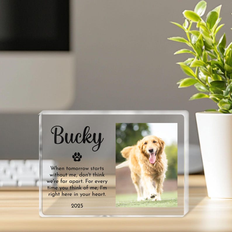 Personalized Pet Memorial Acrylic Block, Dog Loss Keepsake with Photo and Name, Pet Remembrance Gift, Custom Rainbow Bridge Tribute