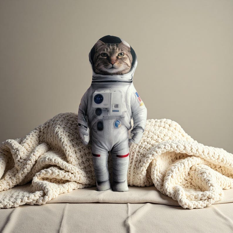 Personalized pet pillows, custom funny pet pillows, fun pet gifts, pet lover pillows, Custom ugly pillow support any style customization