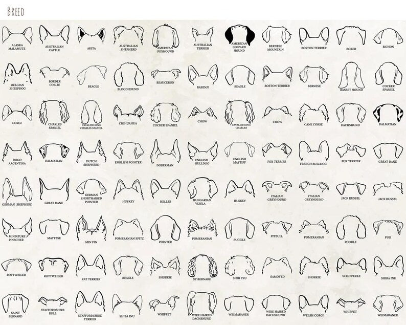 Personalized Dog Ear Outline Night Light, Custom Dog Breed Keepsake, Pet Memorial Gift, Personalized Pet Sign, Pet Lover Gifts, Pet Plaque