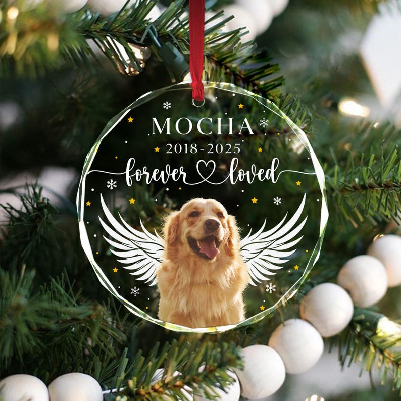 Personalized Pet Memorial Ornament, Custom Dog Photo Ornament, Cat Christmas Ornaments, Pet Memorial Keepsake, Forever Loved Sympathy Gift