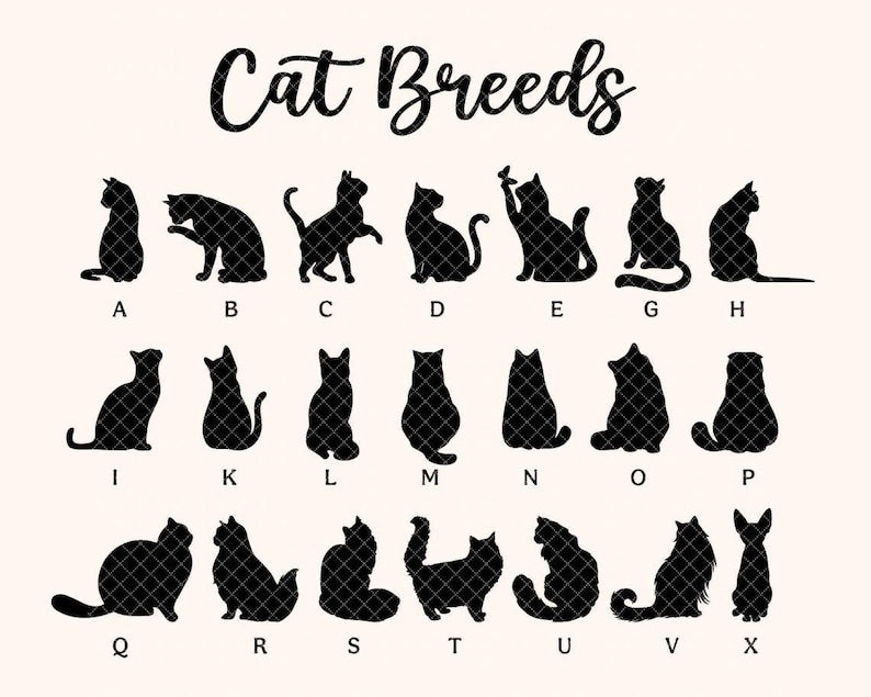 Custom Cat Loss Suncatcher, Custom Pet Memorial Gift, Pet Loss Sympathy Gift, Cat Lover Gift, Pet Remembrance Gift, Window Hanging