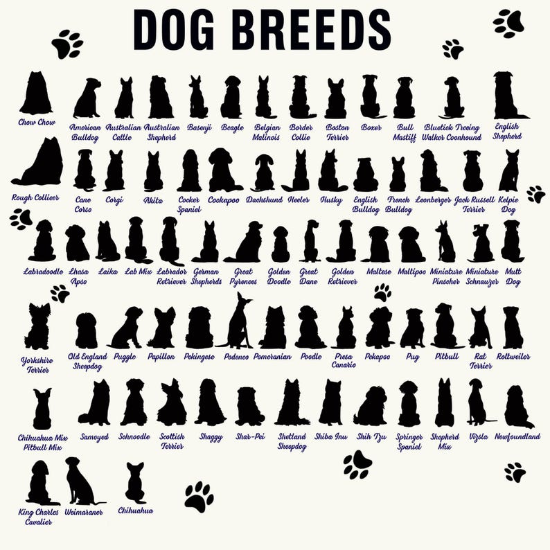 Personalized Dog Memorial Suncatcher with Charm, Pet Loss Sympathy Gift, Custom Dog Remembrance Ornament, Loss of Dog Gift, Rainbow Bridge