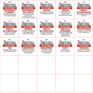 Matching Family Christmas Pajama Shirts, North Pole Correctional, Funny Group Christmas Pajamas, Custom Christmas Tees, Matching Family Tees