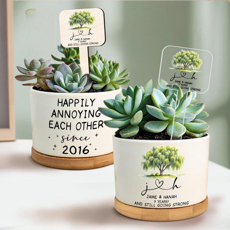 anniversary plant pot 9th Anniversary Willow Tree Gift, 9 Year Anniversary Willow Plant Pot, Willow Tree Flower Pot, 9th Anniversary Gifts For Couple, Willow Gift